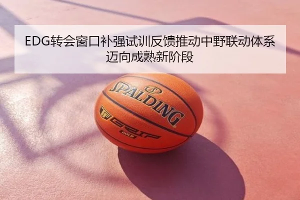 EDG转会窗口补强试训反馈推动中野联动体系迈向成熟新阶段