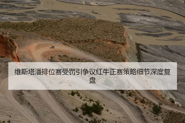 维斯塔潘排位赛受罚引争议红牛正赛策略细节深度复盘