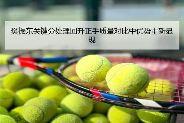 樊振东关键分处理回升正手质量对比中优势重新显现